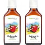 YaoMedica 069 Kladivo na GU Klouby tinktura 2 x 50 ml – Hledejceny.cz