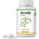 VAKOS XT AkneB5 250 kapslí – Hledejceny.cz