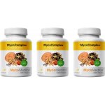 Mycomedica MycoComplex 3 x 90 kapslí – Hledejceny.cz