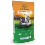 Energys Drůbež UNI 30 Bílkovinný koncentrát pro drůbež 10 kg – Zboží Dáma