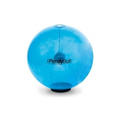 GymnastikBall PendyBall závaží 2 kg, 75 cm – Hledejceny.cz