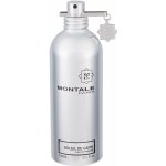 Montale Paris Soleil De Capri parfémovaná voda unisex 100 ml tester – Hledejceny.cz