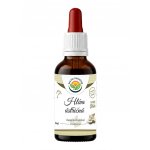 Salvia Paradise Hlíva ústřičná AF tinktura 50 ml – Hledejceny.cz