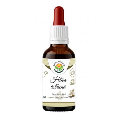 Salvia Paradise Hlíva ústřičná AF tinktura 50 ml – Hledejceny.cz