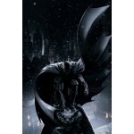 Umělecký tisk Batman Arkham Origins, (26.7 x 40 cm) – Hledejceny.cz