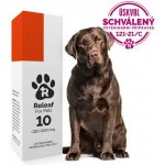 Releaf 10 CBD olej pro psy 10 ml – Hledejceny.cz