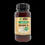 Dokonalá Láska B04 Zelený jíl 100 g – Hledejceny.cz