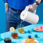 Niceboy ION ThermoKettle TK5 Polar White – Zbozi.Blesk.cz