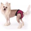 Autovýbava Fun Colours hárací kalhotky pro psy S -35 cm růžová kostka