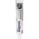 Signal Long Active Nature Elements 75 ml – Zboží Mobilmania