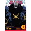 Komiks a manga Bleach, Vol. 43 - Tite Kubo