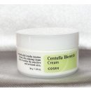 Přípravek na problematickou pleť Cosrx Centella Blemish Spot Cream protizánětlivý krém s extraktem pupečníku asijského 30 ml