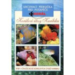Korálové útesy určovací příručka pro potápěče - Elizabeth a Lawson Woodovi – Hledejceny.cz