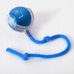 Siemec Interaktivní Pohyblivý míček se zvuky 6 cm – Sleviste.cz