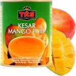 TRS Mangové Pyré Kesar Mango Pulp 850 g – Zboží Mobilmania