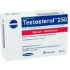 Megabol Testosterol 250 30 kapslí