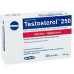 Megabol Testosterol 250 30 kapslí – Zboží Mobilmania