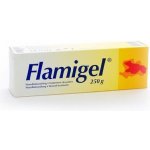 Flamigel hydrokoloid. gel na hojení ran 250 ml – Hledejceny.cz