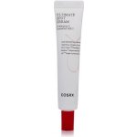 Cosrx Ac Collection Ultimate Spot Cream 30 g – Zboží Dáma