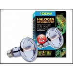 Hagen Exo Terra Halogen Basking Spot 100 W – Zbozi.Blesk.cz