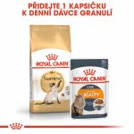 Royal Canin Siamese Adult 4 kg – Zboží Mobilmania