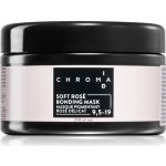 Schwarzkopf Chroma ID barvicí maska 9,5-19 250 ml – Zboží Mobilmania