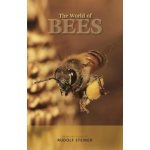 The World of Bees: From the Work of Rudolf Steiner Steiner RudolfPaperback – Sleviste.cz