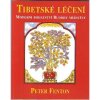 Kniha Tibetské léčení