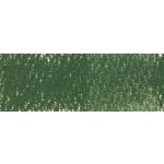 Derwent Pastel v tužce P510 olive green – Sleviste.cz