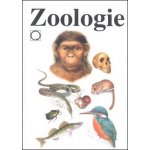 Zoologie - Vladimír Zicháček – Hledejceny.cz