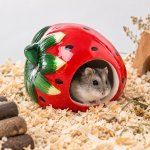 JK ANIMALS keramický domek Jahoda pro křečky 12 x 9 x 9 cm – Sleviste.cz