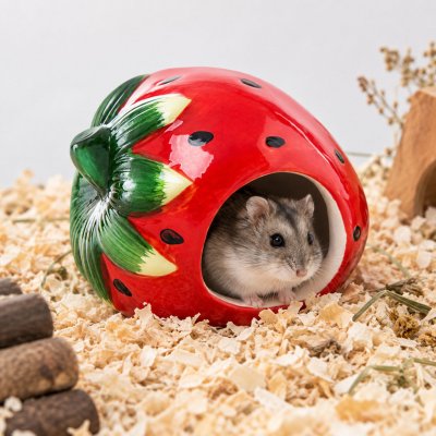 JK ANIMALS keramický domek Jahoda pro křečky 12 x 9 x 9 cm – Sleviste.cz