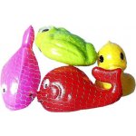 Směr Ryba na kolečkách – Zboží Dáma