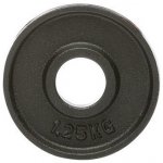 ATX LINE Litinový kotouč 1,25 kg 50 mm – Hledejceny.cz