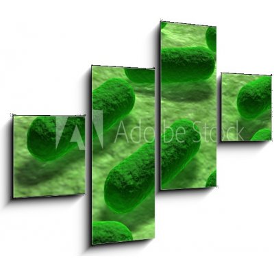 Obraz 4D čtyřdílný - 120 x 90 cm - E coli Bacteria. Bakterie E coli.