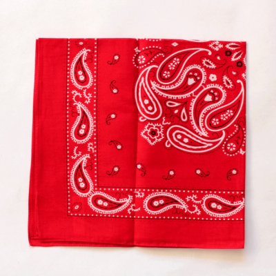 Etex šátek Kašmír B02 1 ks červený – Hledejceny.cz