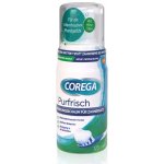 Corega čistící pěna pro zubní protézy 125 ml – Zboží Dáma