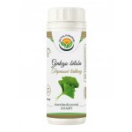 Salvia Paradise Ginkgo biloba jinan standardizovaný extrakt 60 kapslí – Hledejceny.cz