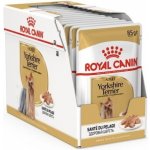 Royal Canin Yorkshire Adult 12 x 85 g – Zboží Mobilmania