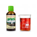 Bylinné kapky Galgán oddenek tinktura 50 ml – Hledejceny.cz