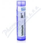 LUTEINUM POR 30CH GRA 4G – Hledejceny.cz