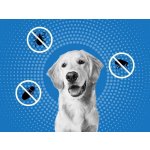 Frontline Spot-On Dog XL 40-60 kg 3 x 4,02 ml – Zboží Mobilmania