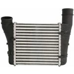 Chladič turba THERMOTEC DAA001TT | Zboží Auto