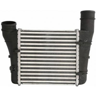 Chladič turba THERMOTEC DAA001TT | Zboží Auto