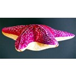 Gaby Polštář Hvězdice mořská 50 cm – Zboží Dáma