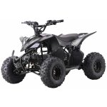 Ramiz Elektrická čtyřkolka DESERT STORM LIFT černá – Hledejceny.cz