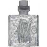 Nino Cerruti 1881 Silver toaletní voda pánská 100 ml – Hledejceny.cz