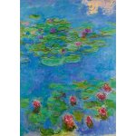 BlueBird Claude Monet lekníny 1917 1000 dílků – Sleviste.cz