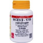 Sinecura WCE9.9-1709 yupingfengsan 60 tablet – Hledejceny.cz