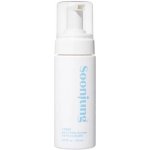 Etude House Soon Jung pH 6,5 Whip Cleanser čisticí pěna na obličej 250 ml – Zboží Dáma